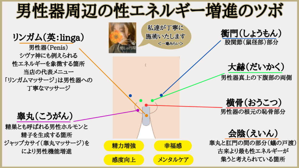 男性器周辺の性エネルギー増進のツボ